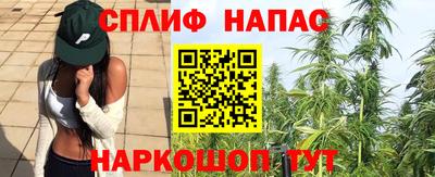 прущая мука Беслан